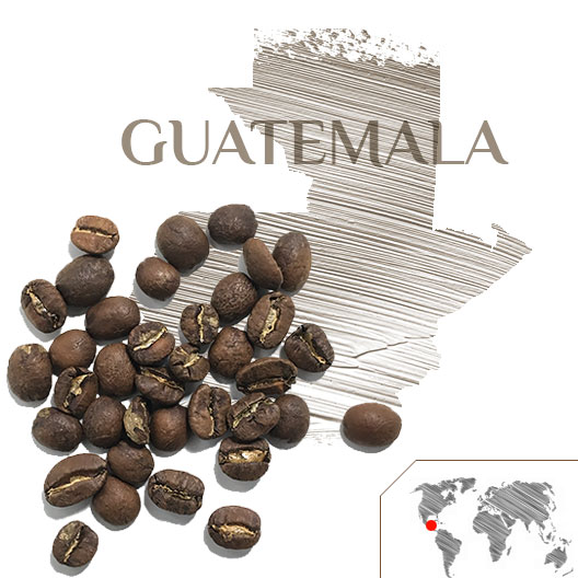 CAFÉ GUATEMALA FINCA LA JOYA, Café Guatemala, Tienda de Café Málaga