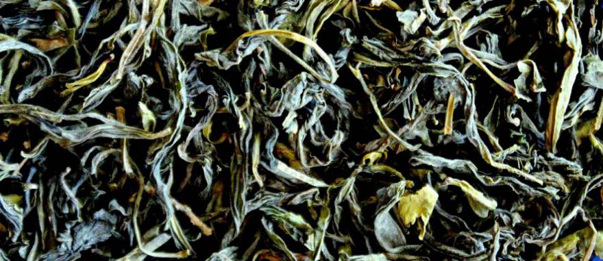 EL TÉ OOLONG PODRÍA PREVENIR EL ESTRÉS