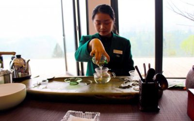 VISITA A LAS PLANTACIONES DE TÉ DE LA MONTAÑA SAGRADA EMEI