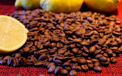 LA ACIDEZ, UNA CARACTERÍSTICA DESEADA DEL CAFÉ