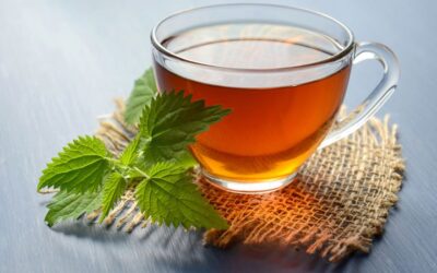 INFUSIONES: BEBIDAS SALUDABLES PARA TODOS