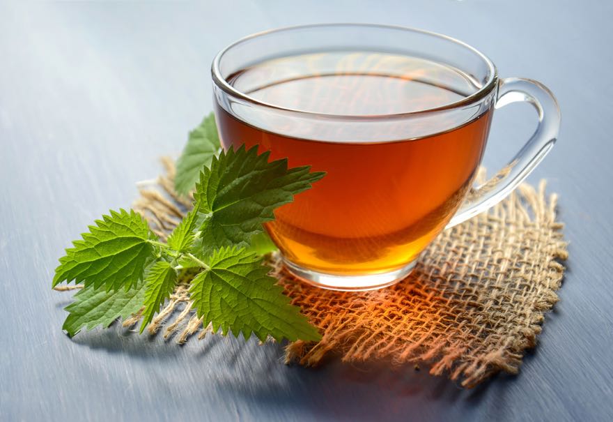 INFUSIONES: BEBIDAS SALUDABLES PARA TODOS