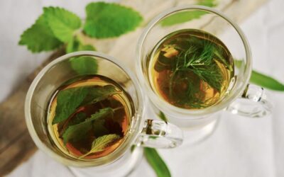TALLER DE INFUSIONES SALUDABLES EN CASA