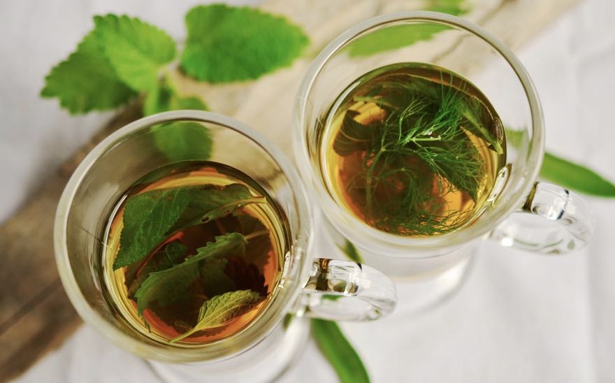TALLER DE INFUSIONES SALUDABLES  EN CASA