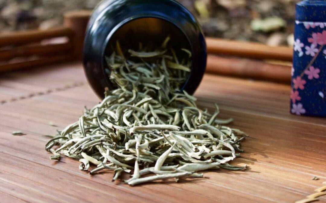 EL TÉ BLANCO AGUJAS DE PLATA Y SUS EFECTOS EN LA PIEL