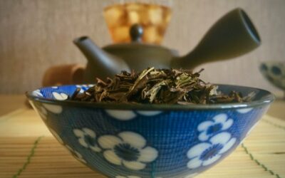 RECETA DE TÉ JAPONÉS HOUJICHA HELADO
