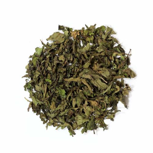 MENTA PIPERITA EN HOJA