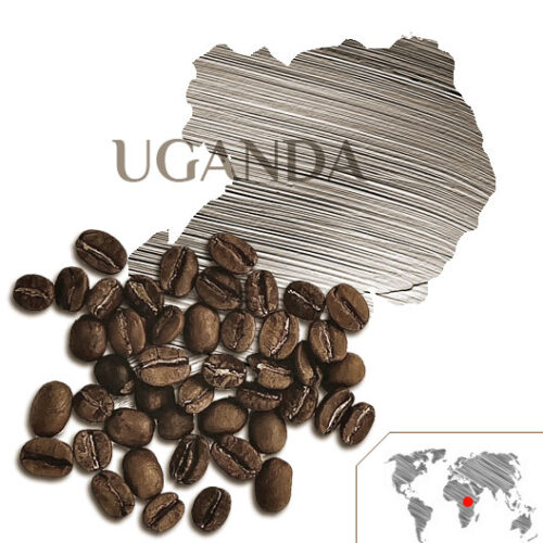 CAFÉ UGANDA MUKURU FLORALS