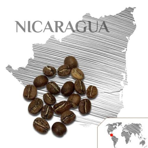 CAFÉ NICARAGUA NUEVA SEGOVIA